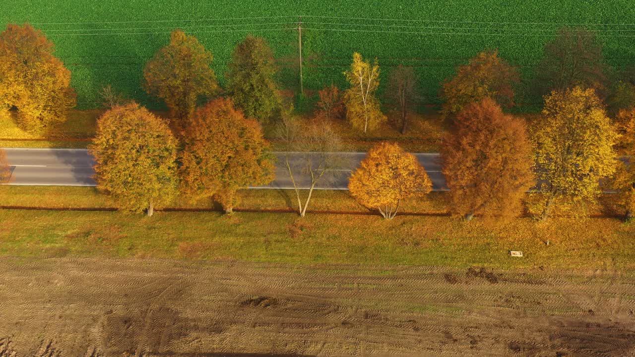 해가 지는 아름다운 가을 숲의 도로의 공중 풍경