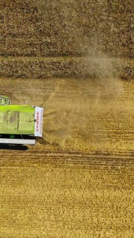 combine on harvest field. aerial view on the combine working on the large wheat field vertical video