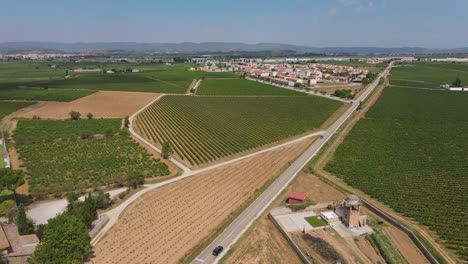 Viñedos-Penedes-Cerca-De-Barcelona,-España.-Vista-Aérea-Delantera