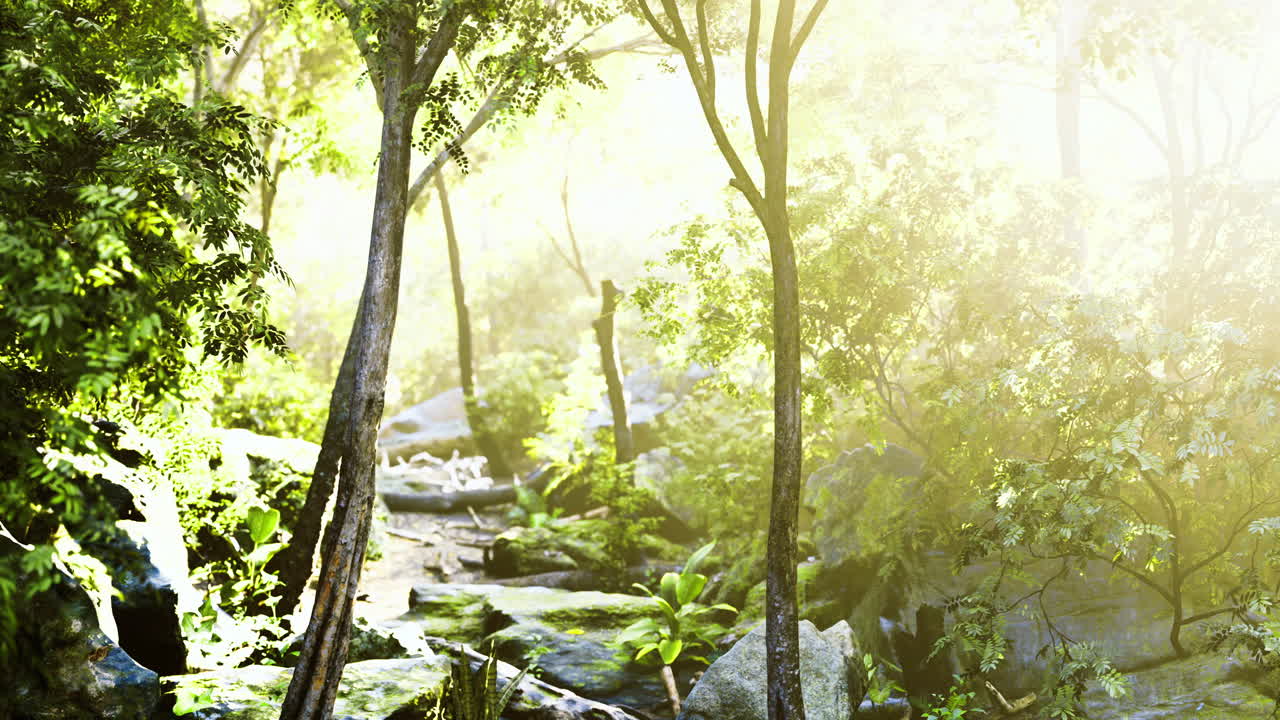 Lush forest path illuminated by morning sunlight in a tranquil setting