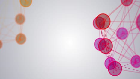 animación de la red de conexión e iconos sobre fondo blanco