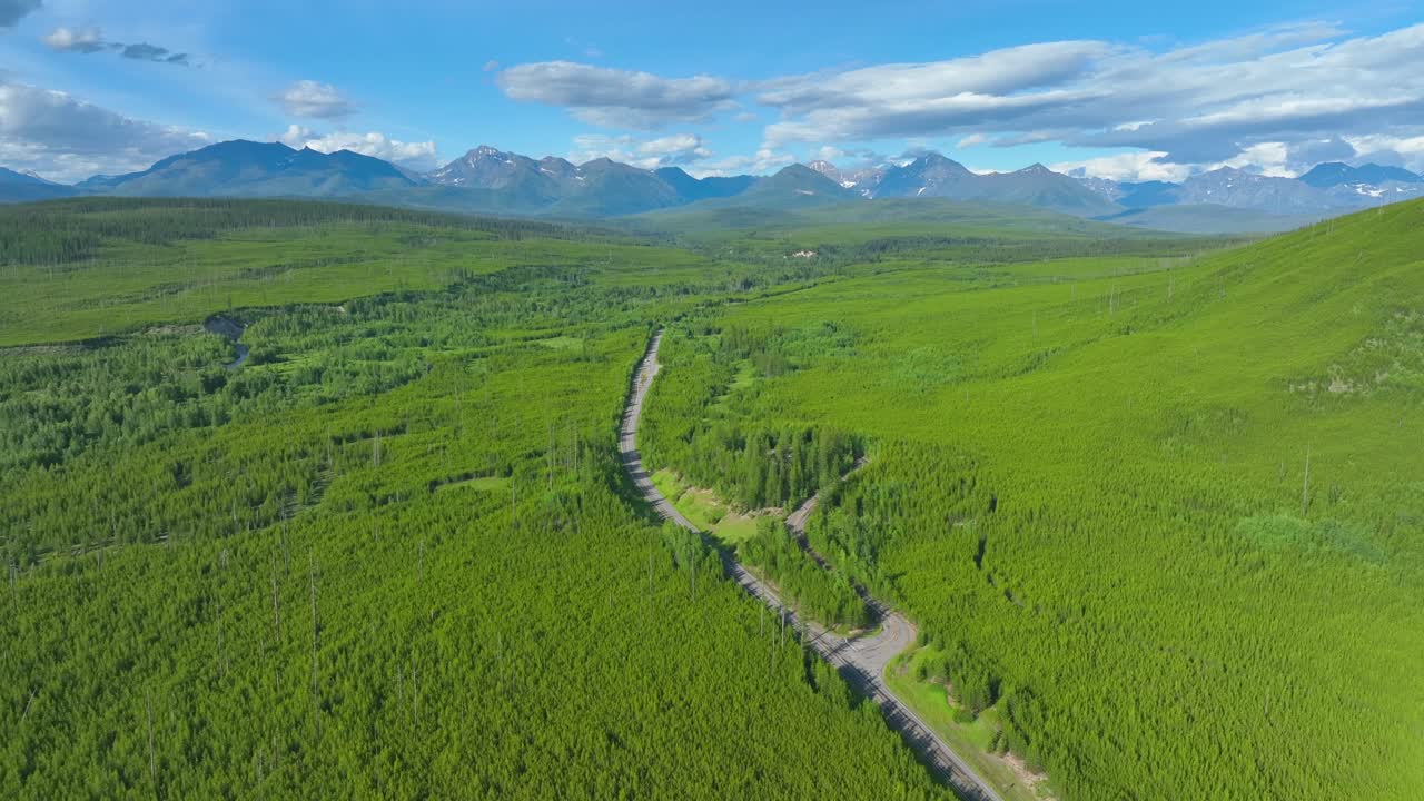 여름에는 산의 전망을 감상할 수 있는 화창한 날 무성한 녹색 숲 사이의 빈 도로