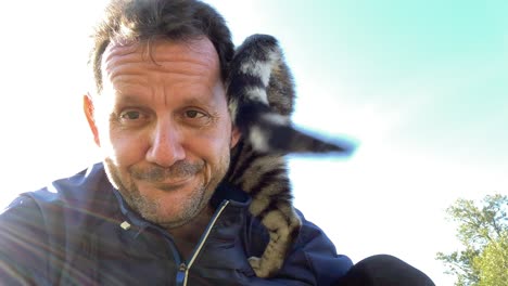 encantador gato escalando en el hombro de un hombre adulto al aire libre en un día soleado, de cerca