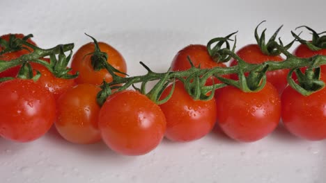 movimiento a lo largo de los tomates rojos frescos cultivados en la rama