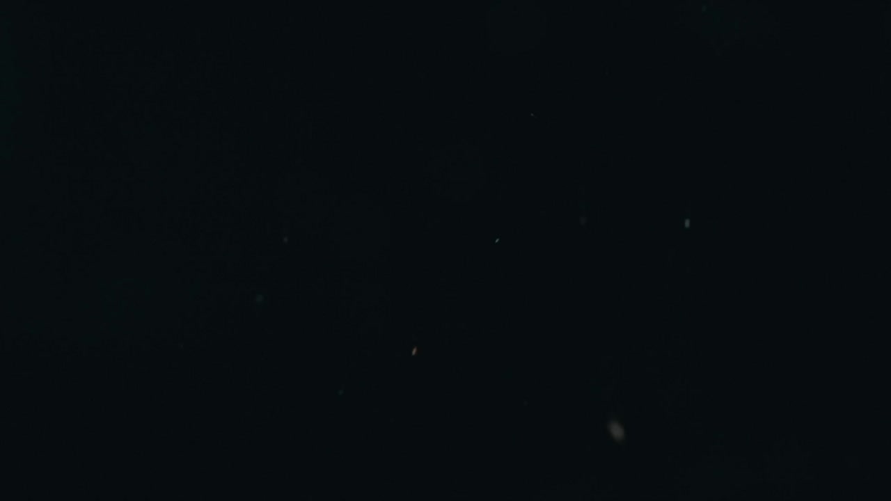 바실리 잎  ⁇ 어리가 검은 바탕에 대비하여 공중에 던져지고, 느린 동작, 가장자리에 부드럽게 조명됩니다.