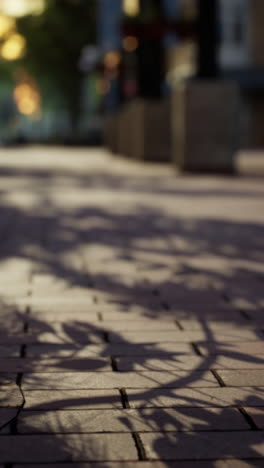 close up of brick sidewalk with shadows from trees