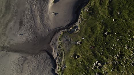 vista de pájaro de la tierra verde en la playa de arena, contraste único, playa kvalvika, noruega