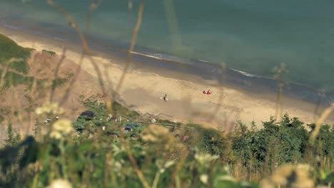 tall grass blows in a gentle breeze on a hilltop overlooking a beach and the ocean below