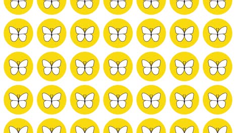 butterfly icon in yellow circle with black dynamic line pattern on a white background. seamless loop dynamic pattern with regular symbols rotating around