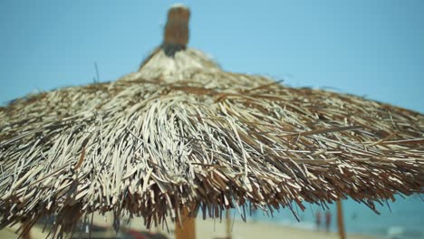 beach umbrella on a sunny day