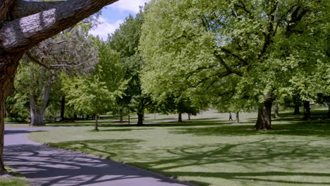 the city garden park with shady trees