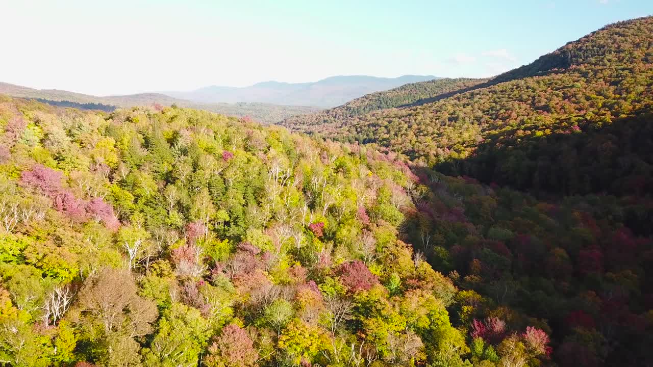 полет над огромными лесами с осенней листвой и цветами в вермонте или новой англии