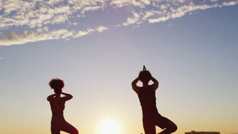 Vista-Trasera-De-Una-Pareja-Afroamericana-Practicando-Yoga-Juntos-En-Rocas-Cerca-Del-Mar-Durante-La-Puesta-De-Sol