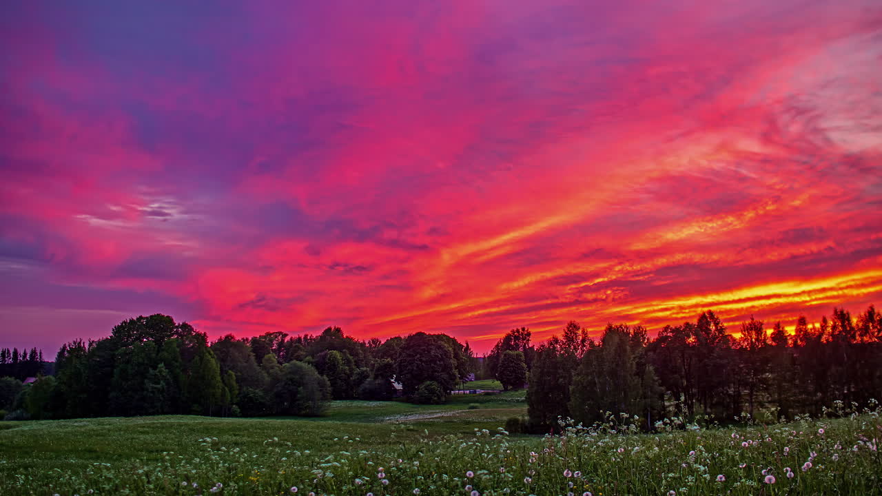 una puesta de sol brillante pasa de naranja a azul al atardecer sobre un campo de dientes de león y un bosque pintoresco - lapso de tiempo de gran angular