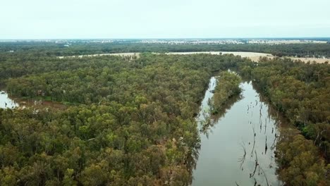 Aerial-footage-of-the-meandering-Ovens-River-and-eucalypt-floodplains-where-it-joins-the-Murray-River-near-Bundalong,-Victoria,-Australia