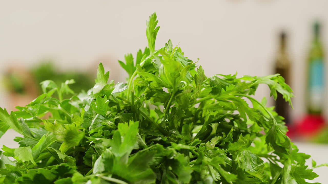 Cilantro parsley cutting by knife close up, chef chop cut coriander aromatic, traditional asian and Mexican cuisine herb studio shot. High quality 4k footage