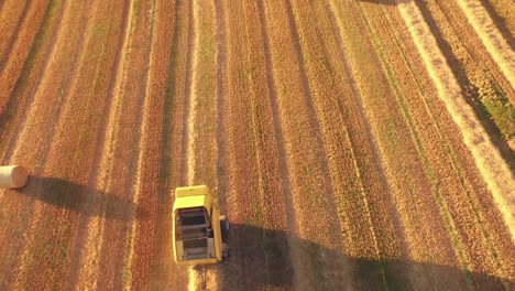 Drone-footage-of-golden-fields-and-combine-harvester