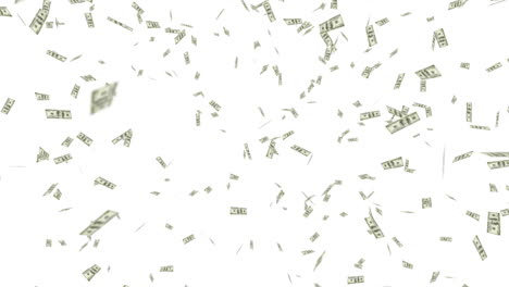 animation of american dollar banknotes falling on white background