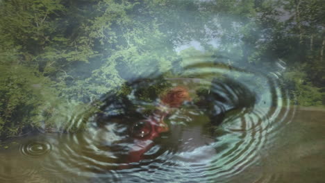 Ripples reflecting trees and sky in water, creating serene natural animation scene