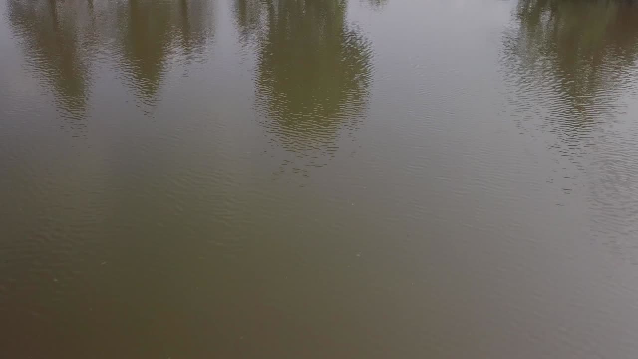 Aerial reveal shot of two people kayaking in a pond