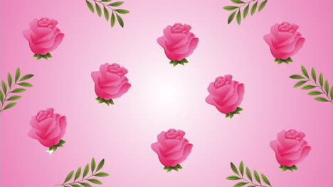 rosas hermosas flores de jardín patrón de animación