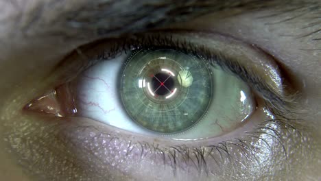 animation of the eye with holograms