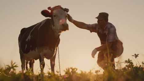 farmer stands with his cow 1