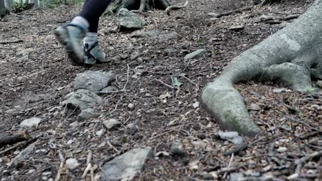 a young tourist woman walking on a mountain path