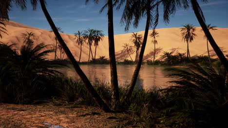 un oasis sereno en el desierto
