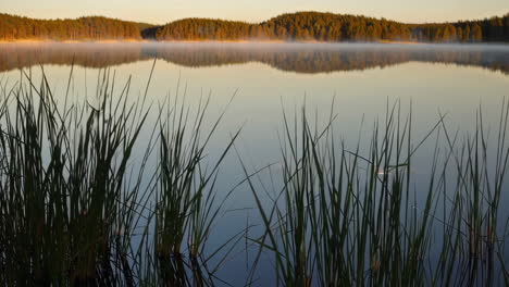 misty sunrise over a serene lake
