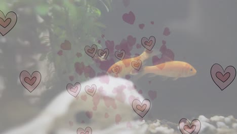 Animation-of-heart-emojis-over-fish-in-fish-tank