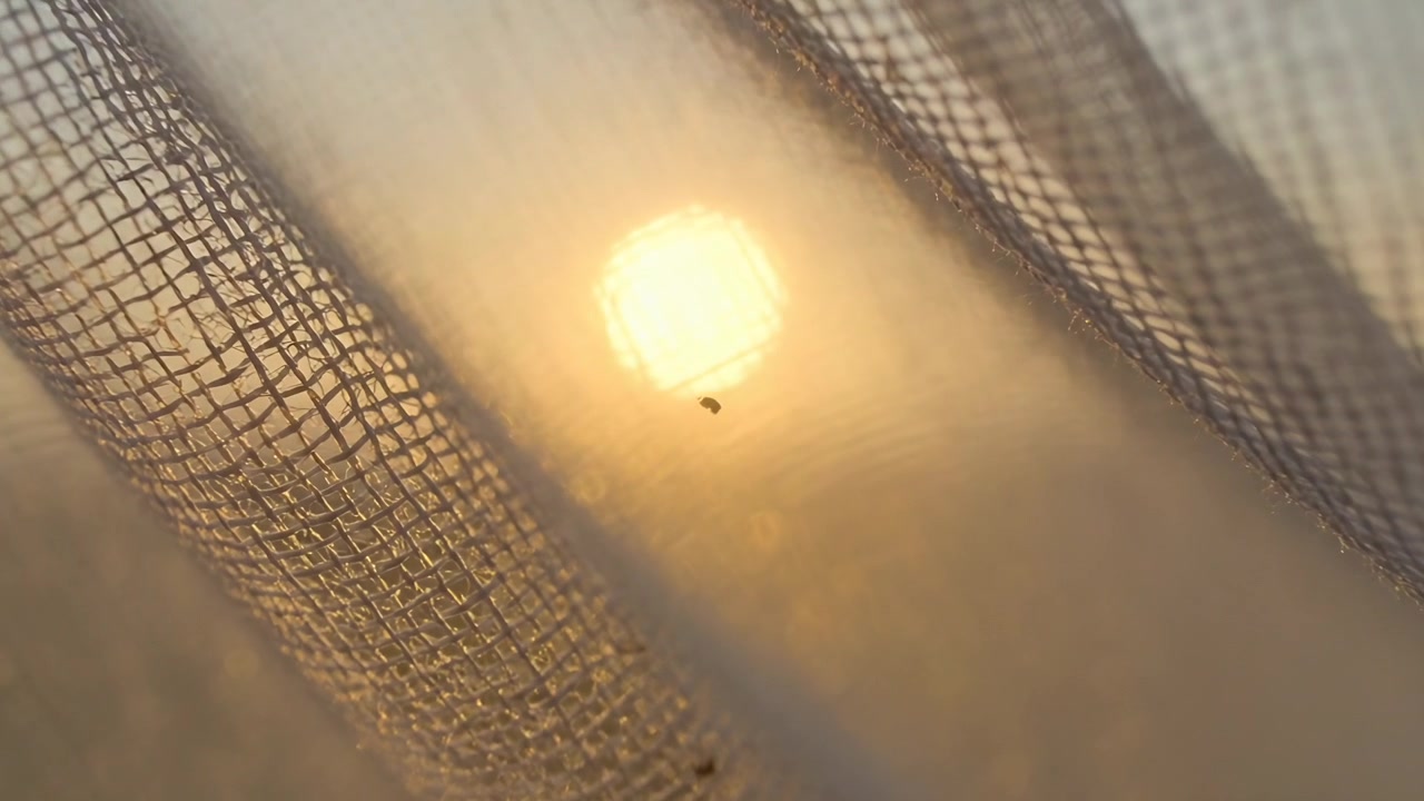 Câmera em movimento mudando o foco na janela, filmando o sol atrás da tela e sombra de partícula flutuante.