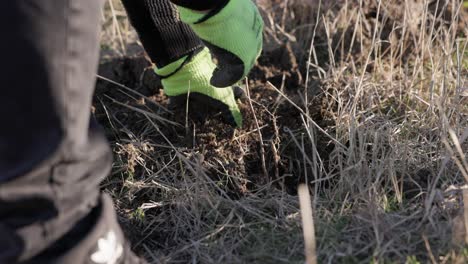 a gloved hand digging into the soil - close up