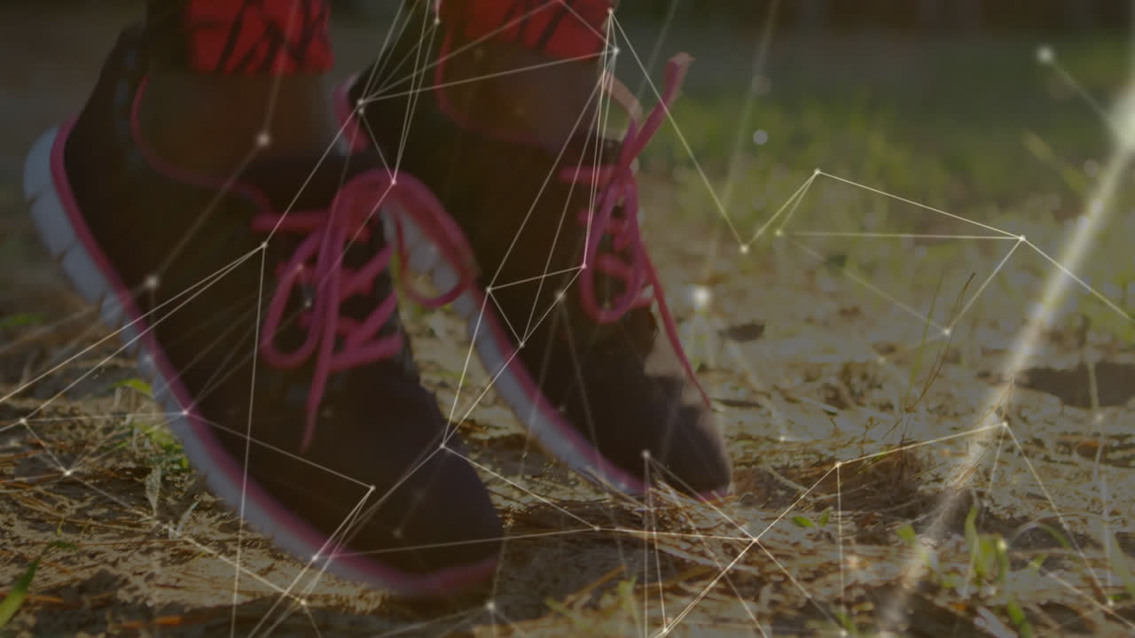 animación de la red de conexiones sobre mujeres saltando ejercicios en el bosque