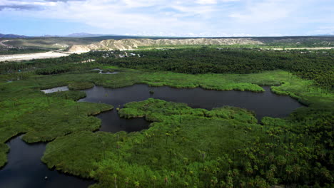 Drone-shot-of-the-central-lake-and-palm-plantations-within-an-oasis-in-baja-california-sur-near-los-cabos-mexico