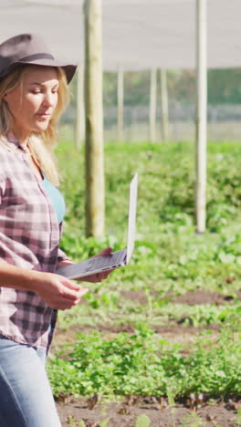 video of happy diverse woman and man using laptop and talking in greenhouse