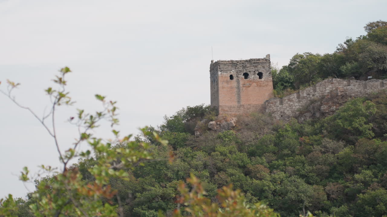 Torre di guardia in pietra su una verde collina, cielo coperto e vegetazione densa che incorniciano una facciata in mattoni fatiscenti con aperture ad arco, muratura stagionata e sottili posatoi per uccelli evocano solitudine storica e un senso di isolamento