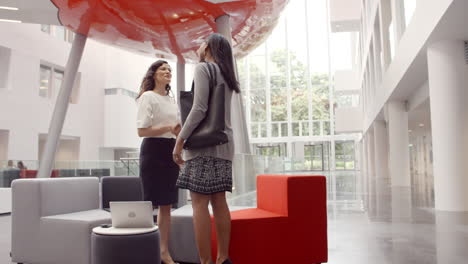 Two-Businesswomen-Shaking-Hands-In-Lobby-Of-Modern-Office