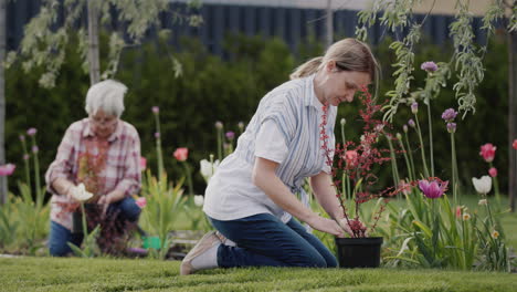 Woman-with-elderly-mother-working-together-in-the-garden---planting-flowers