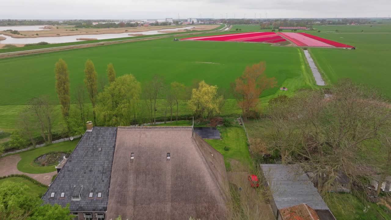 Vista aerea del villaggio olandese di Piaam incorniciato da tulipani e nuvole minacciose.