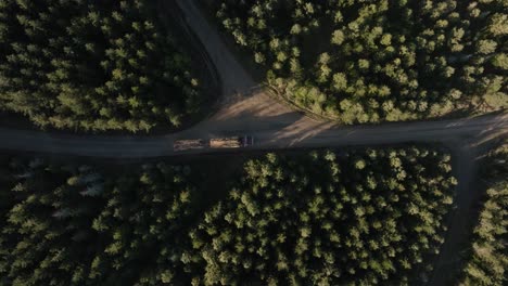 Logging Truck Carefully Drives Down a Dusty Road