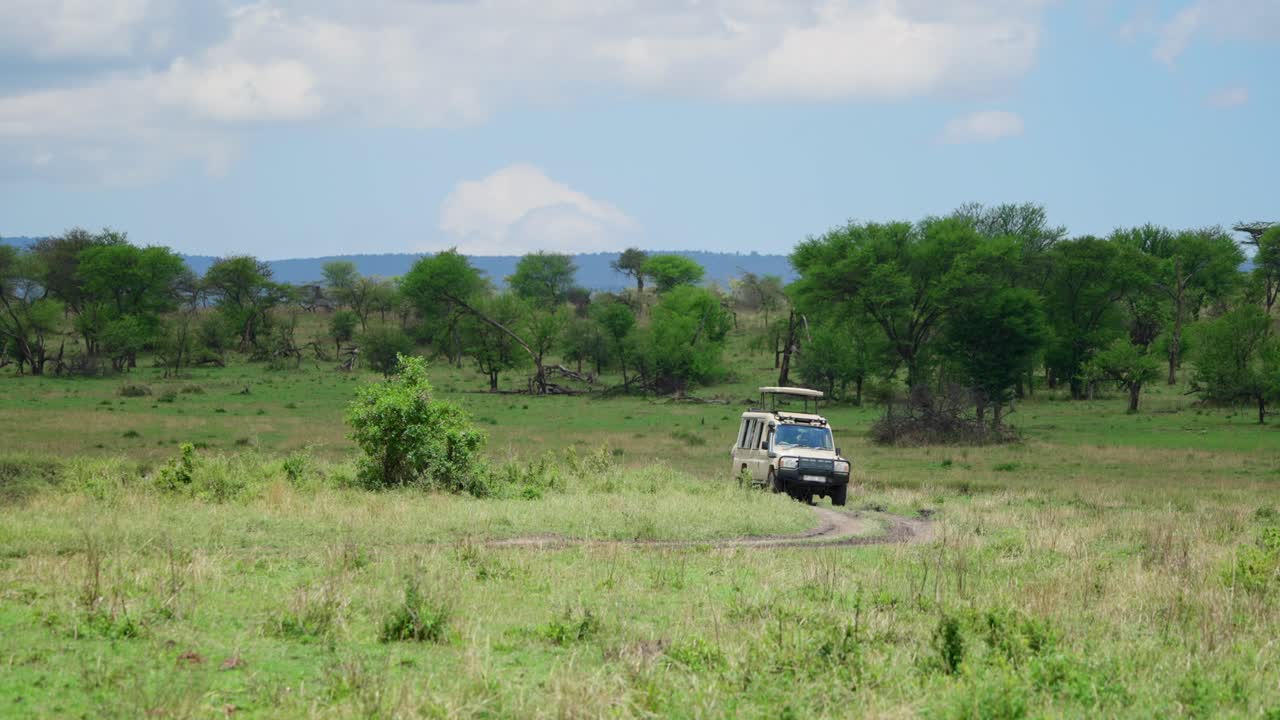 4x4 specialized safari vehicle driving on dirt path in Serengeti Park in Africa. Vacation in Tanzania. Tourists enjoy watching wild animals in savannah landscape. Local guide crossing road in nature