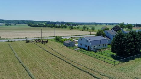 Eine-Luftaufnahme-Eines-Amish-Bauern-Mit-Fünf-Pferden,-Der-Seine-Ernte-Erntet-Und-Sie-An-Einem-Schönen-Tag-Auf-Einen-Karren-Lädt,-Der-über-Die-Landschaft-Blickt