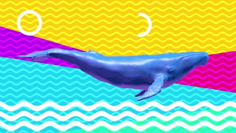 ballena azul nadadora. concepto de arte abstracto con formas geométricas. animal de personaje 3d realista en estilo de movimiento moderno creativo. gráfico minimalista colorido diseño psicodélico de memphis. animación de moda.