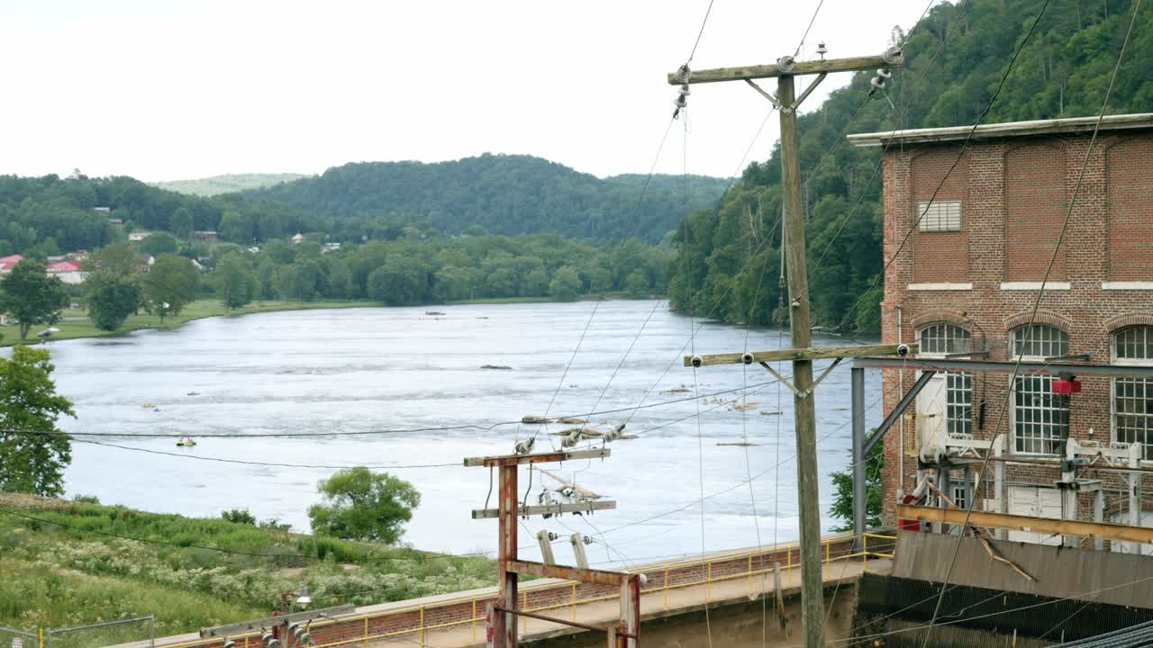 감자튀김 버지니아