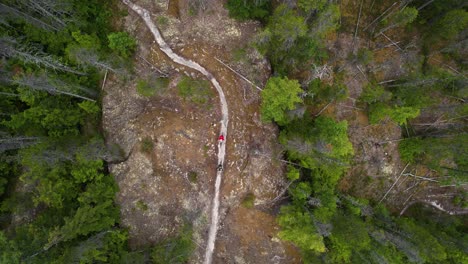 mountain bikers climbing uphill in dense mountain forest