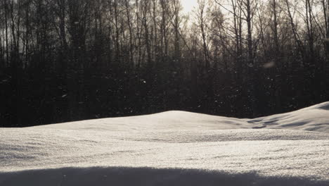 Hermosa-Nieve-Retroiluminada-Cayendo-En-Cámara-Lenta-En-Un-Soleado-Día-De-Invierno-En-El-Norte-De-Europa