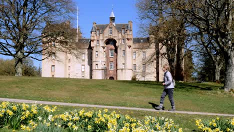 Dame-Geht-An-Der-Vorderseite-Des-Fyvie-Castle-Mit-Narzissen-Im-Vordergrund-Vorbei