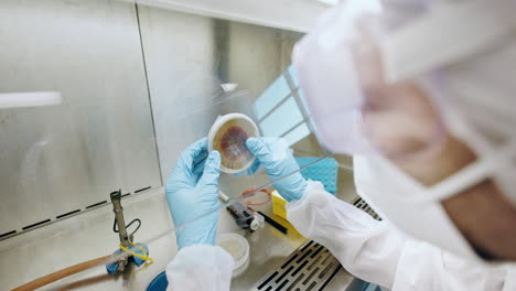 science, glass and person with petri dish