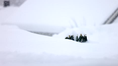 Zeitlupe-Einer-Grünen-Pflanze,-Die-In-Norwegen-Von-Starkem-Schneefall-Bedeckt-Wird